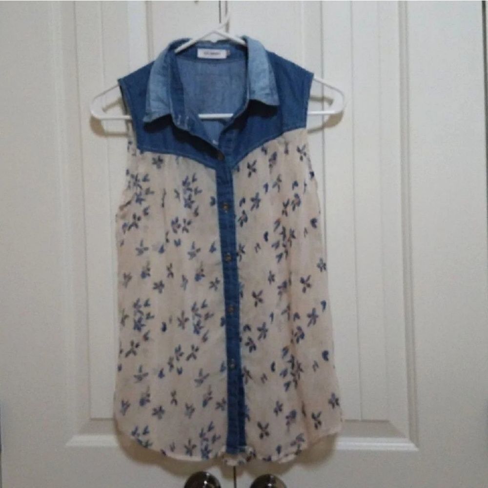 Blu Pepper Floral Sheer Button-up Blouse Small